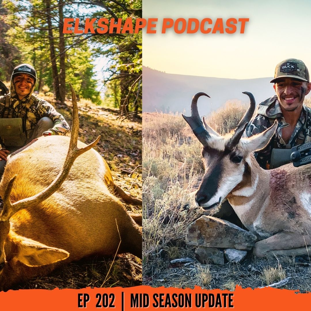 Full September ‘21 Recap PART 1