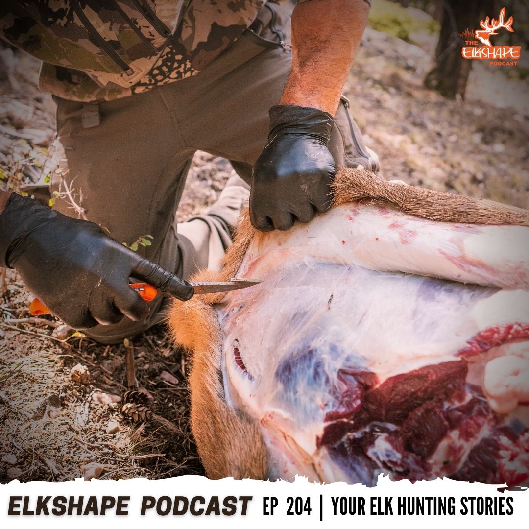 100% Listener Tips & Tactics from 2021 Elk Season