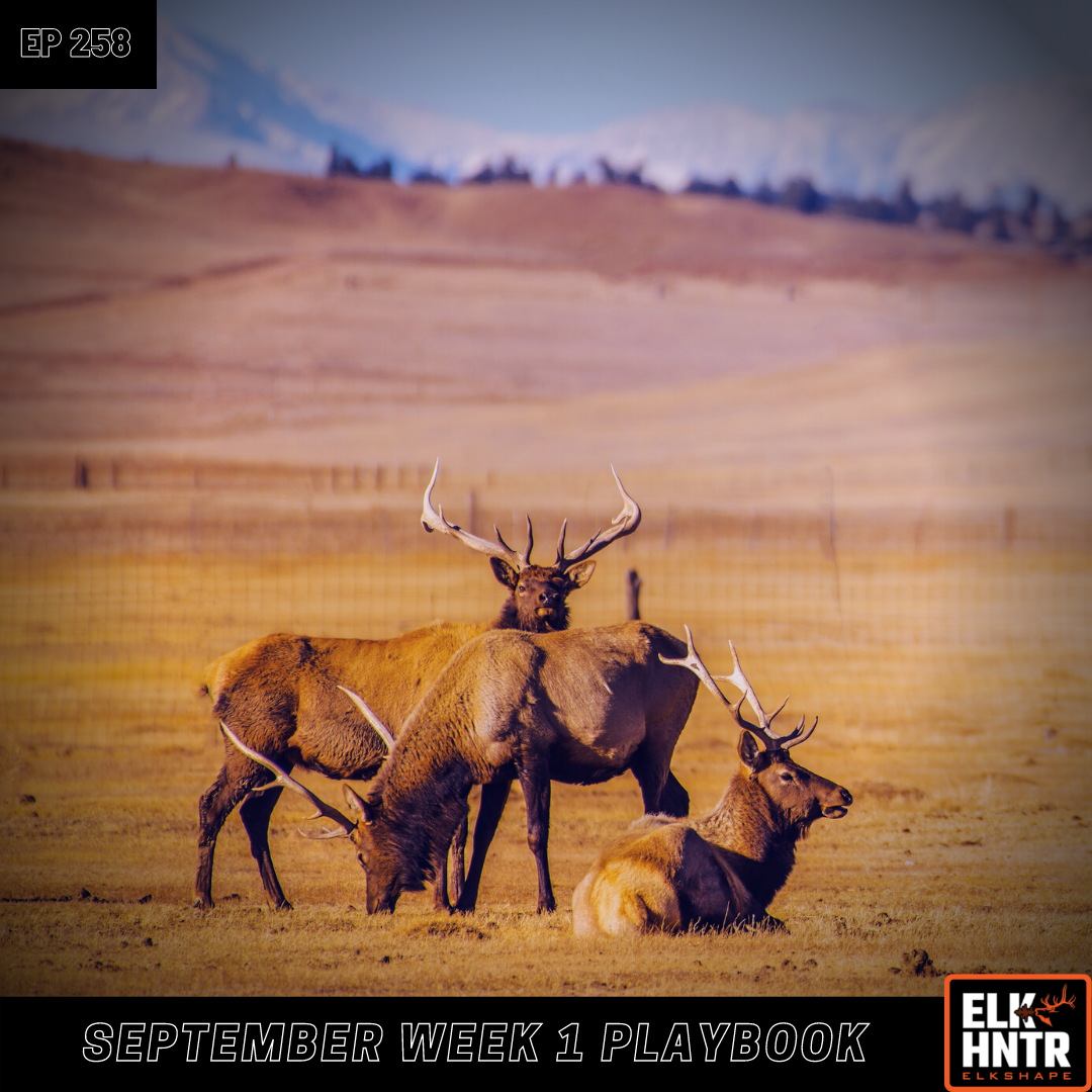 Week 1 September Elk Hunting Strategy