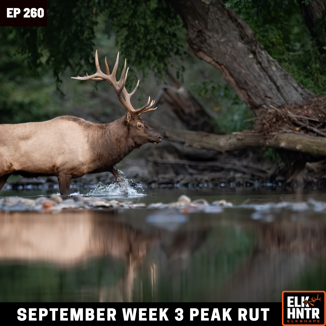 September ELK PEAK RUT