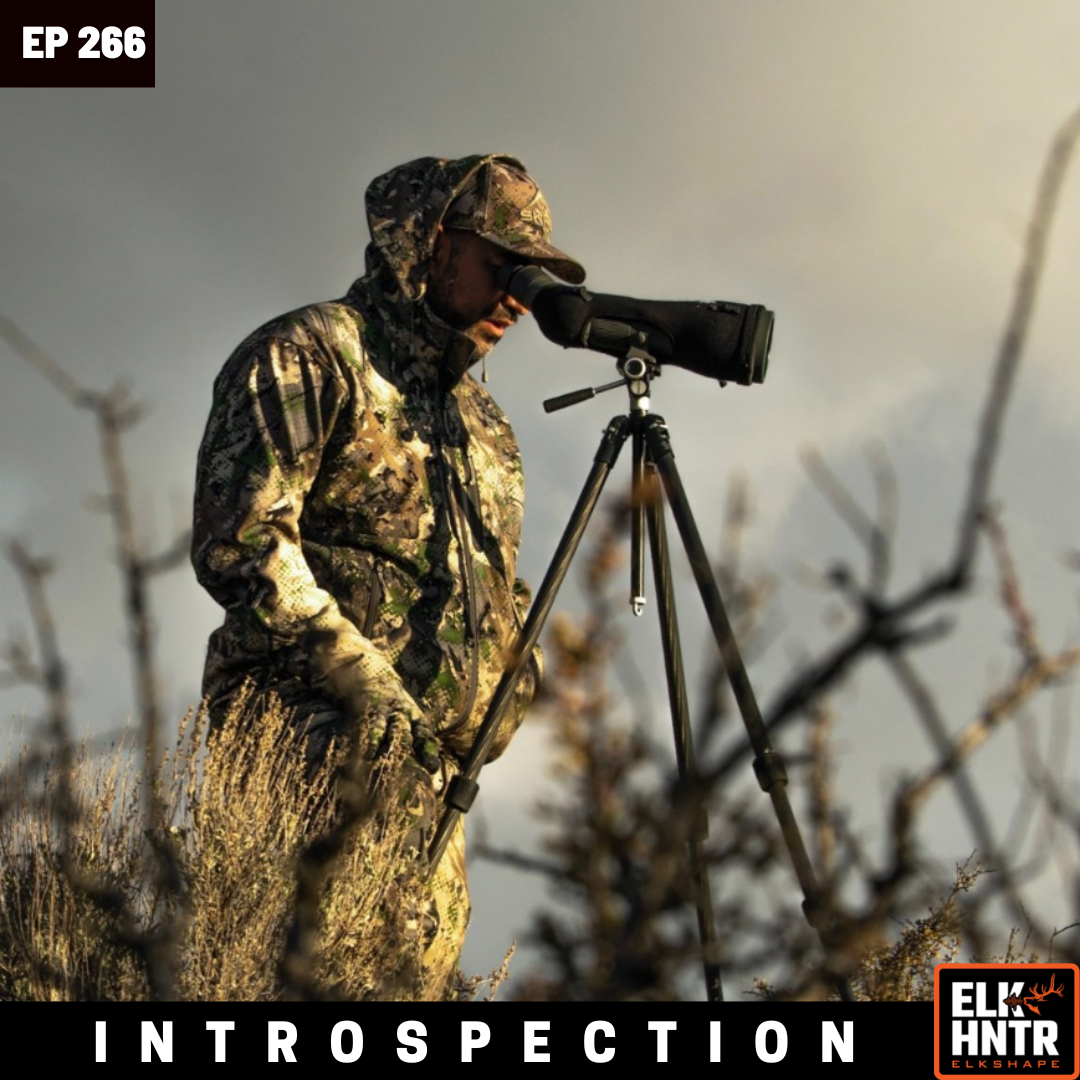 Introspection with Marlon Holden