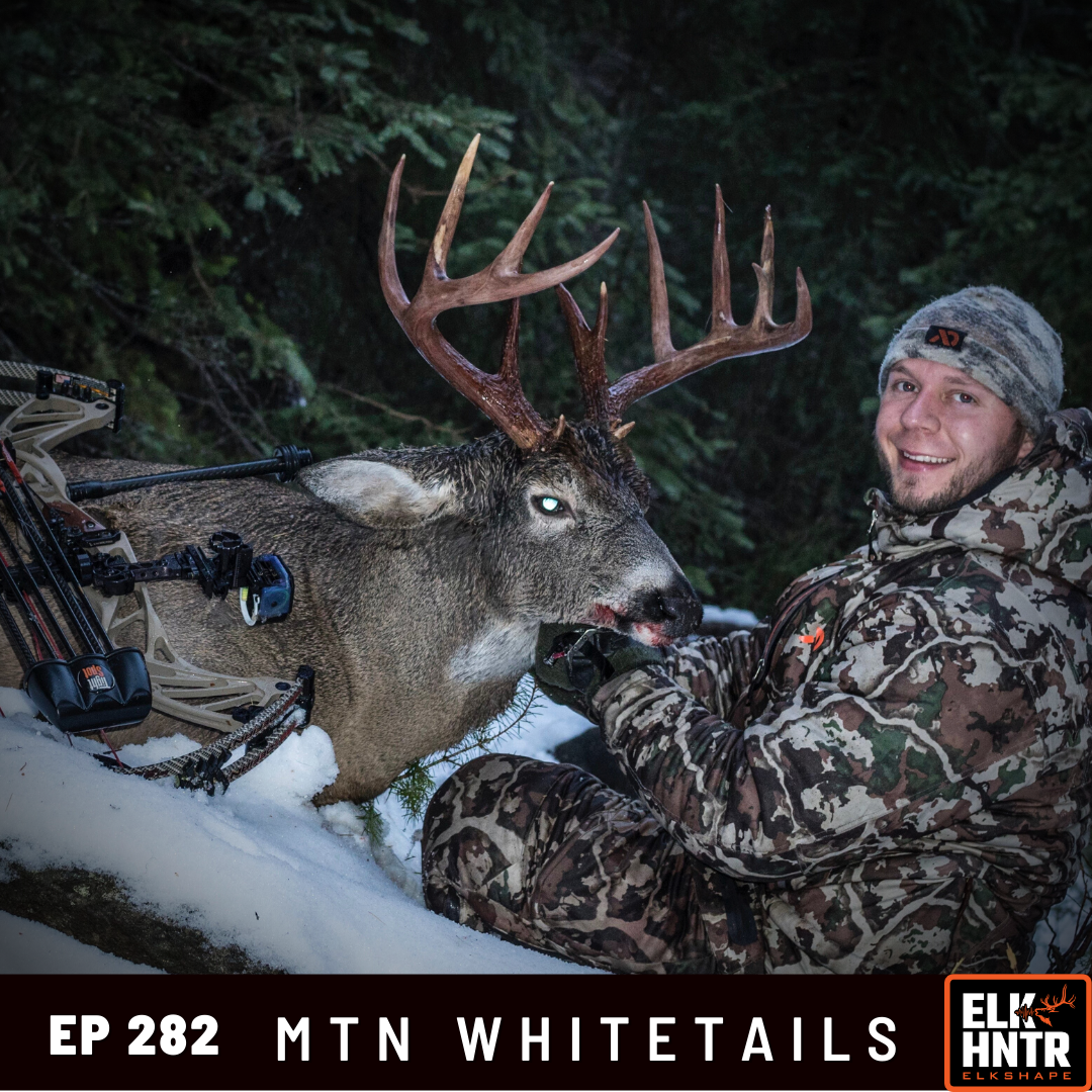 Mountain Whitetails Public Land