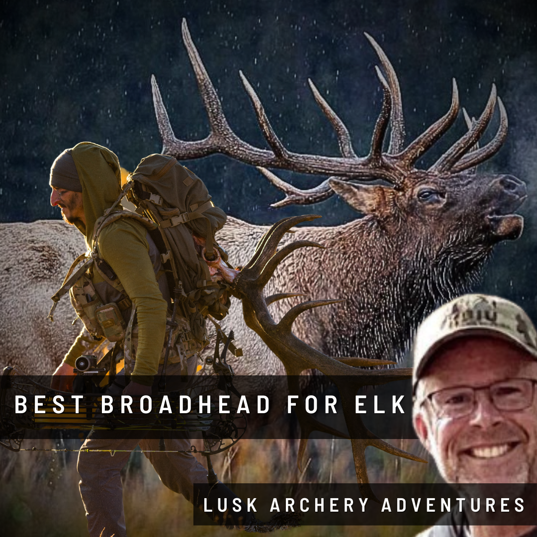 Finding the BEST broadhead for Elk ElkShape