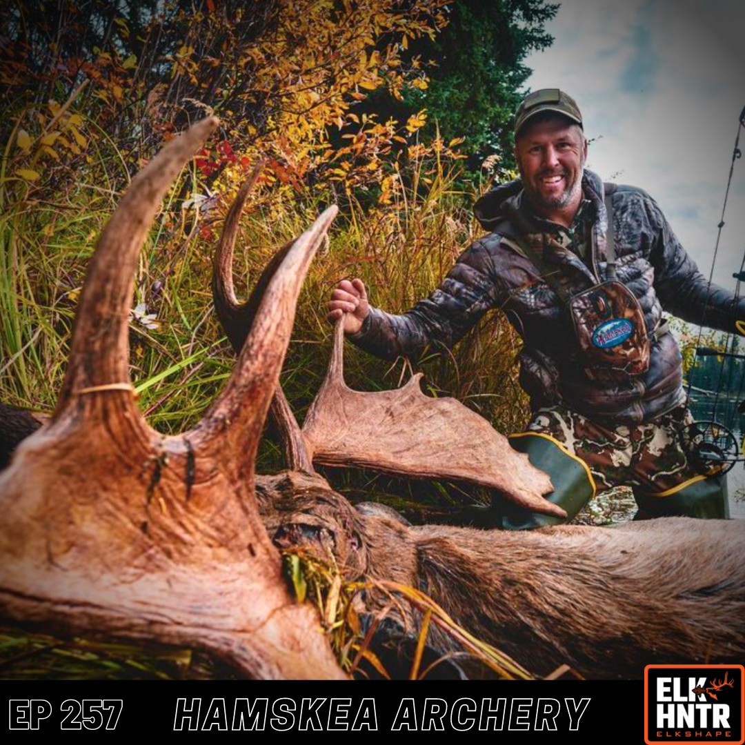 Target Archery Makes You Better at Bowhunting