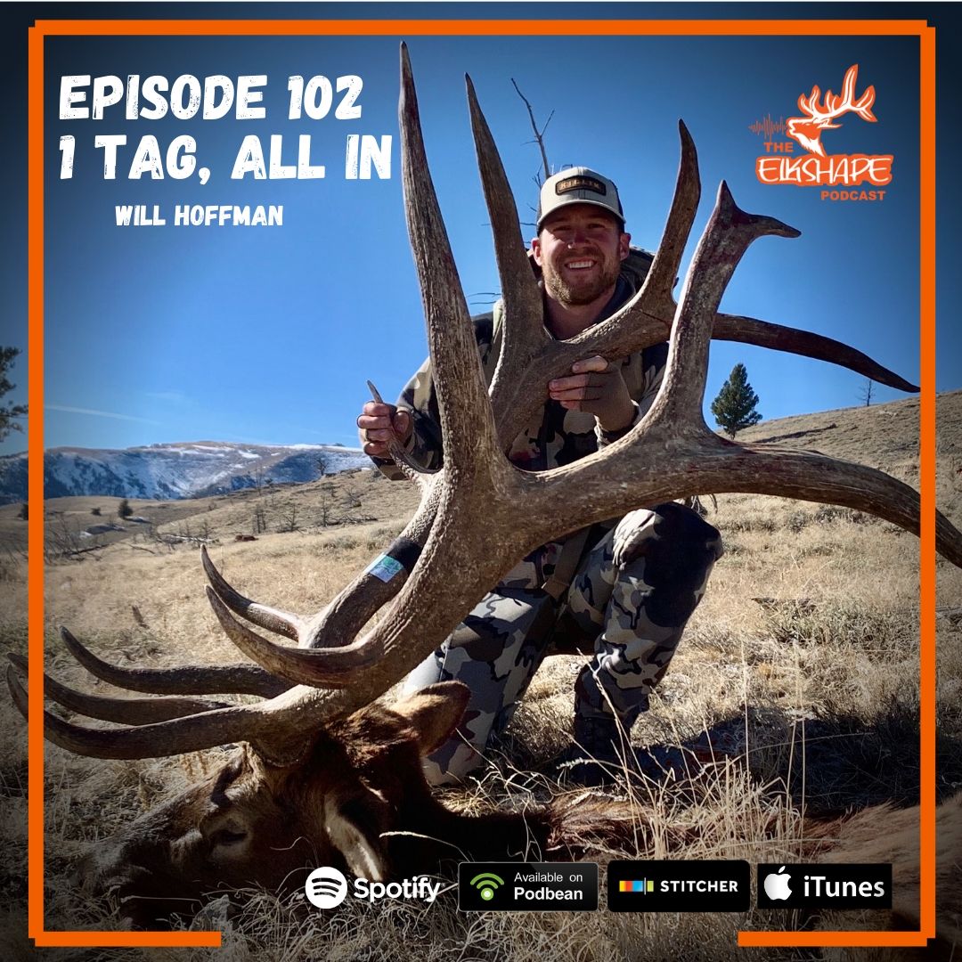 Will Hoffman 1 November Elk Tag, ALL IN!