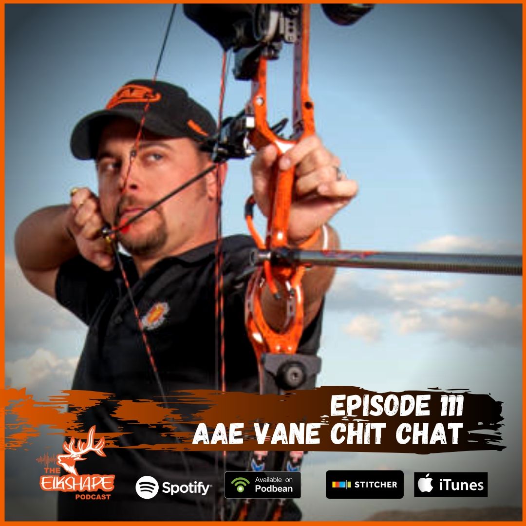 AAE Vane Chit Chat with Nick Fisher