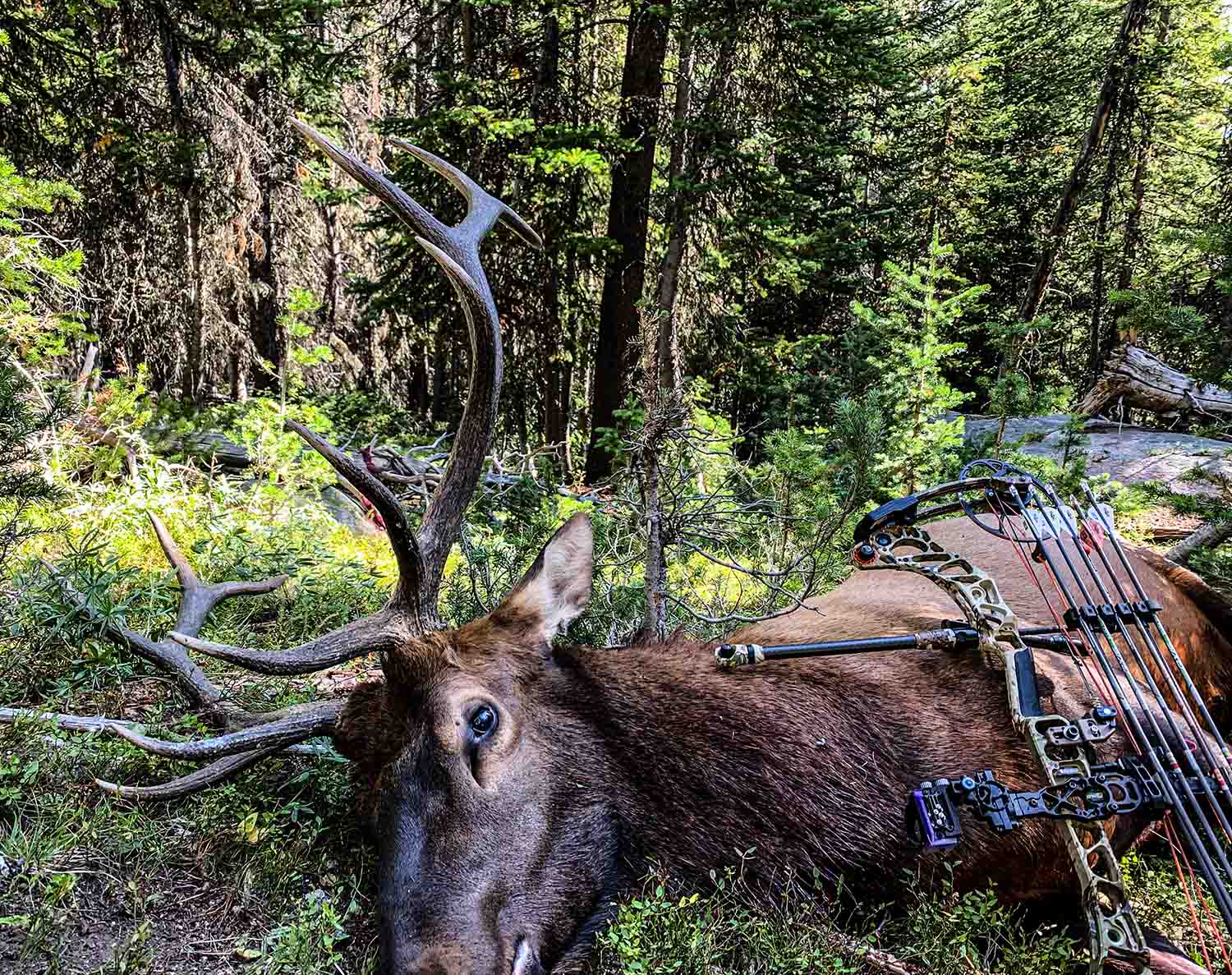 Eat What You Reap - Being a Proud Hunter