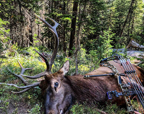 Eat What You Reap - Being a Proud Hunter