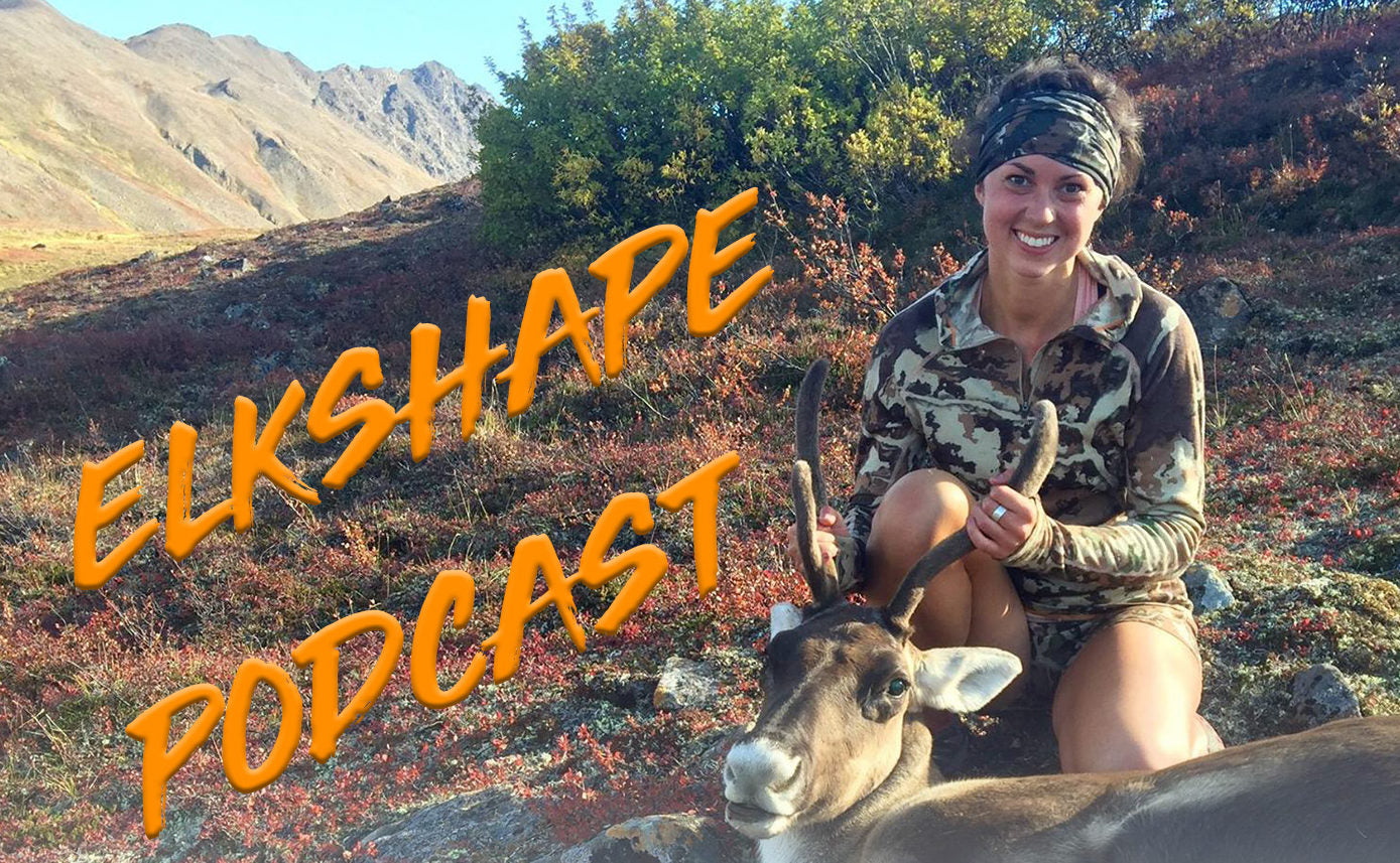ElkShape Podcast EP 23 - Heather Kelly