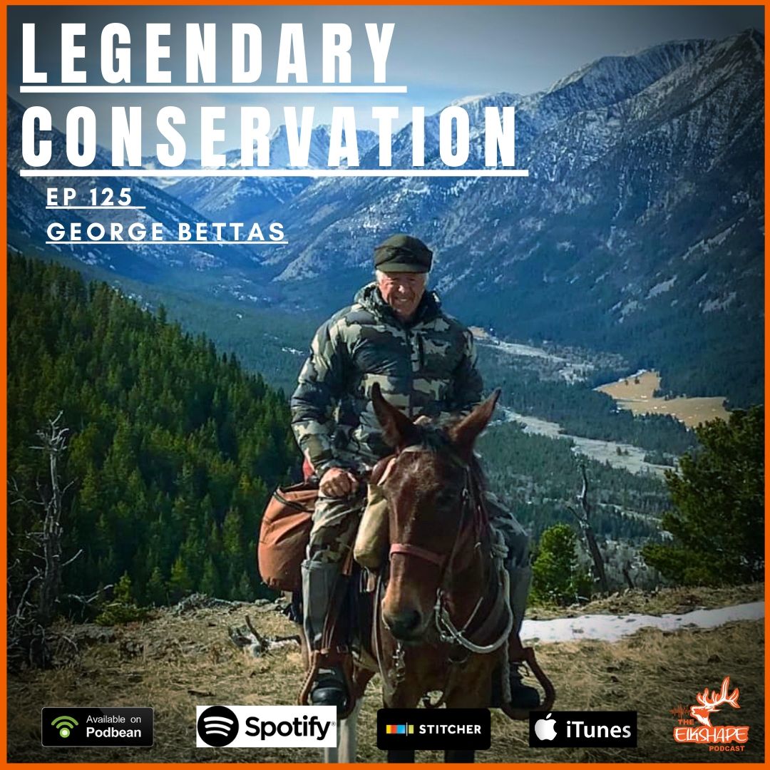 Legendary Conservation with Geroge Bettas