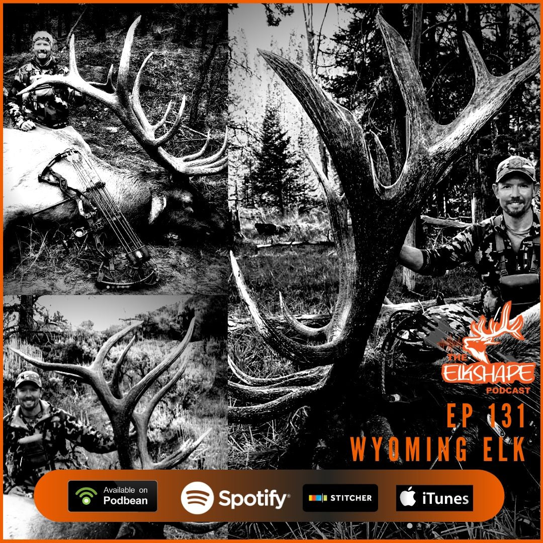 Wyoming Elk and Planning Your Hunt