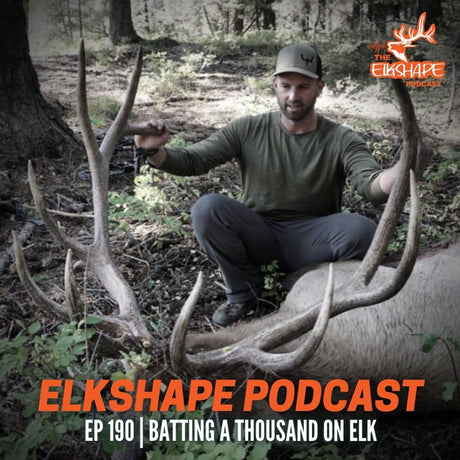 Batting a Thousand on Elk