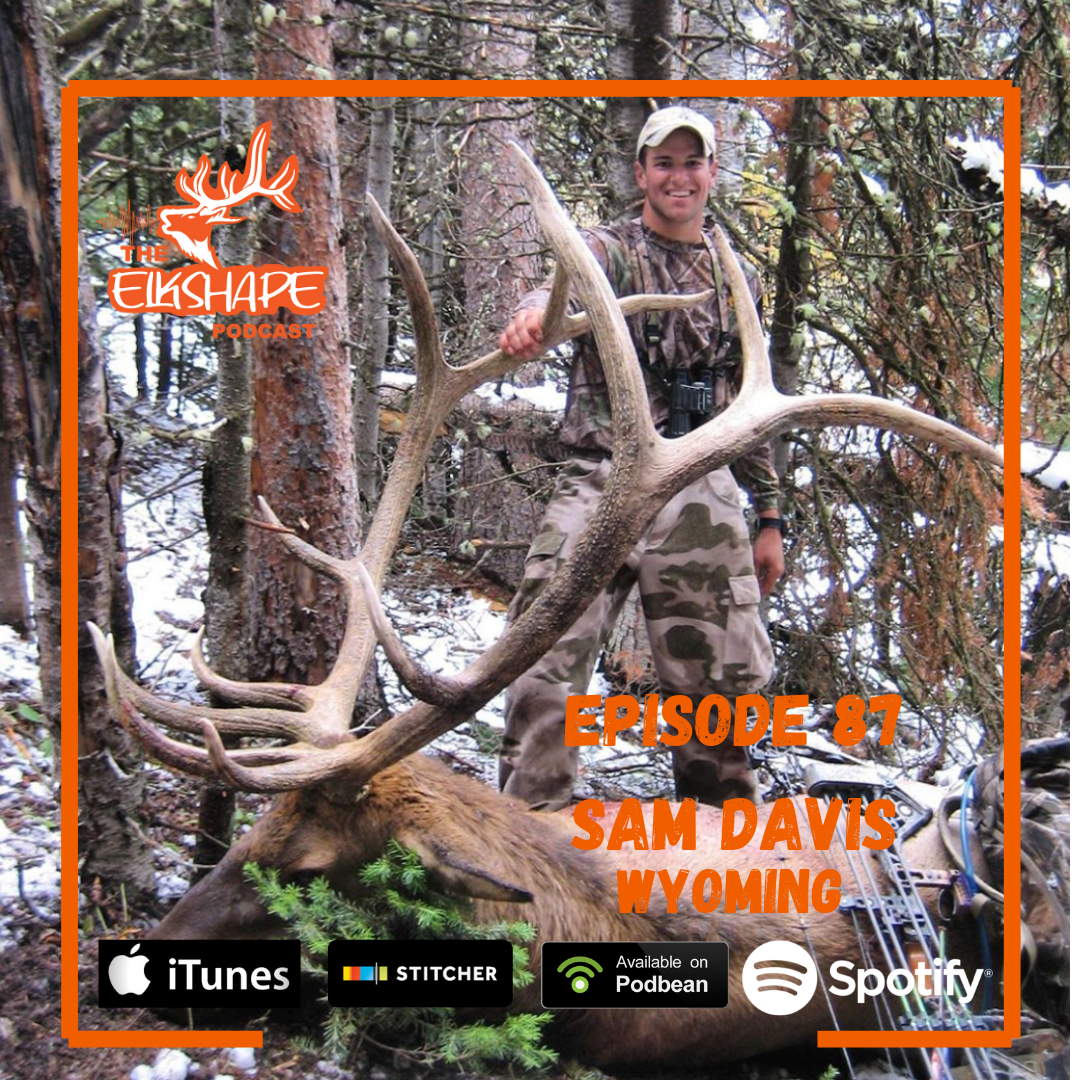 ElkShape Podcast - Sam Davis