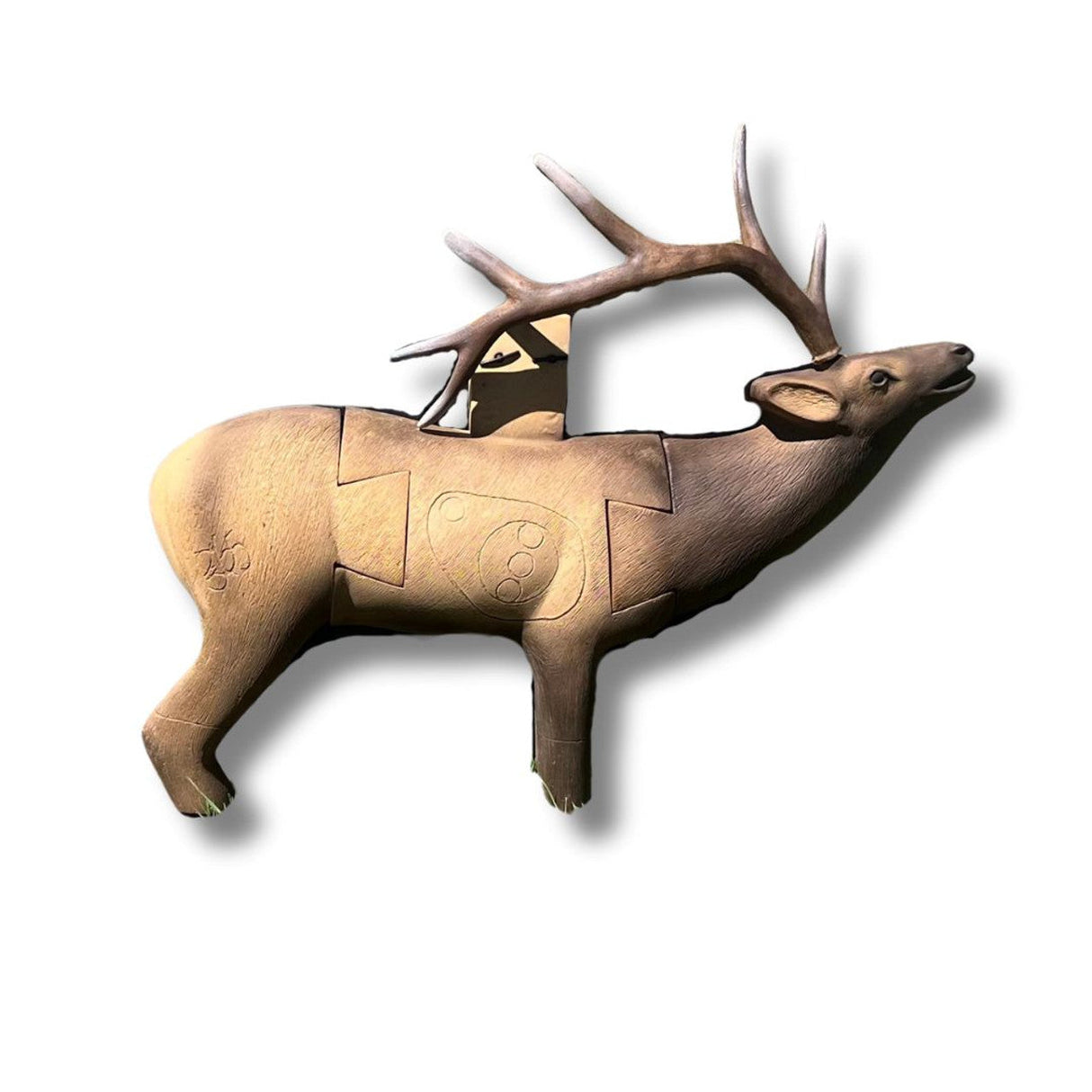 365 Archery TARGET BUDDY - 3D ELK