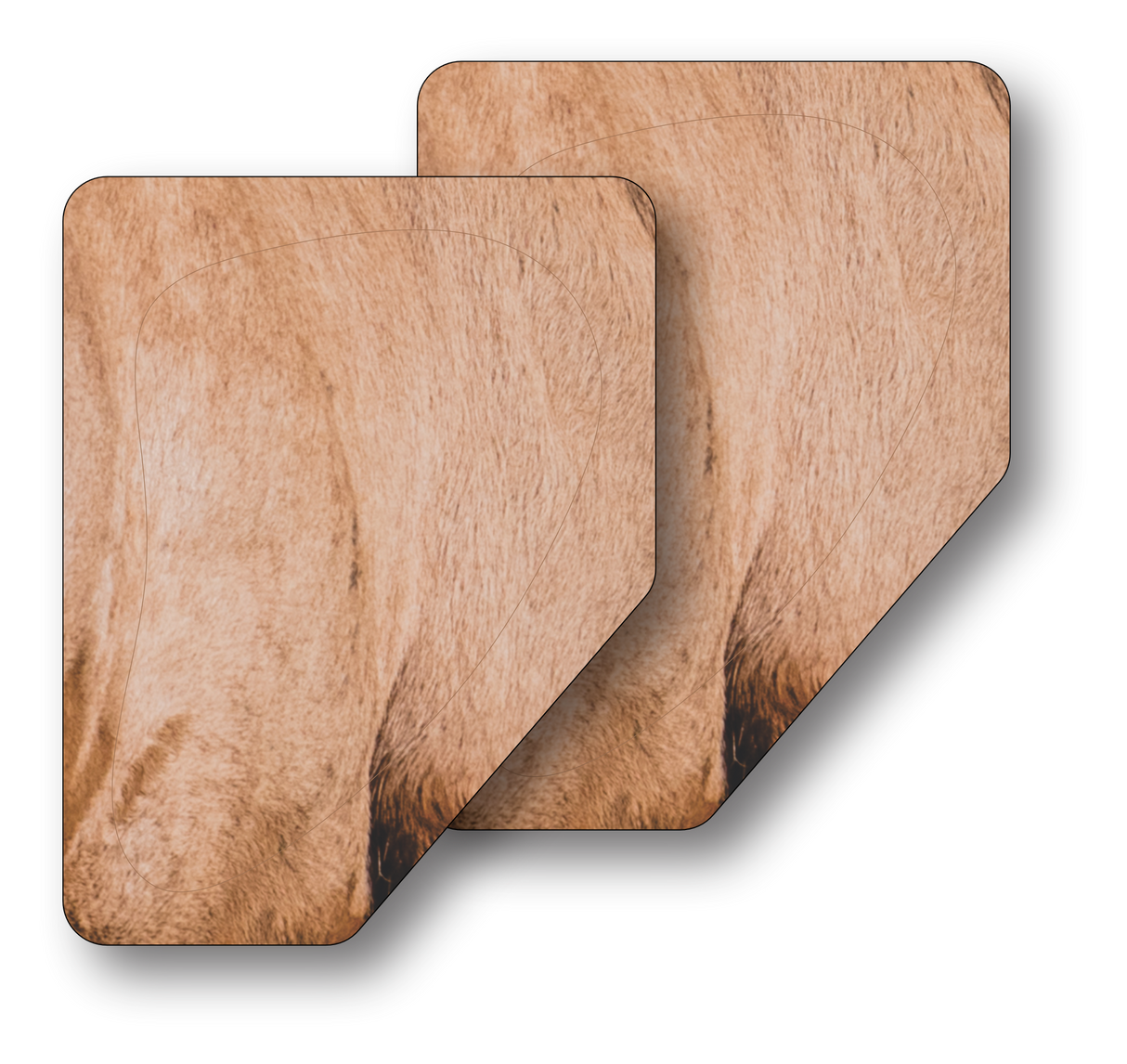 Bull Elk Quartering Away Vital Zone