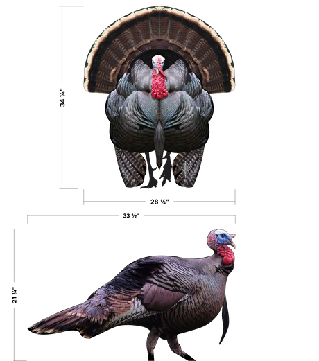 2D Tom Turkey Frontal & Broadside Targets Combo Pack