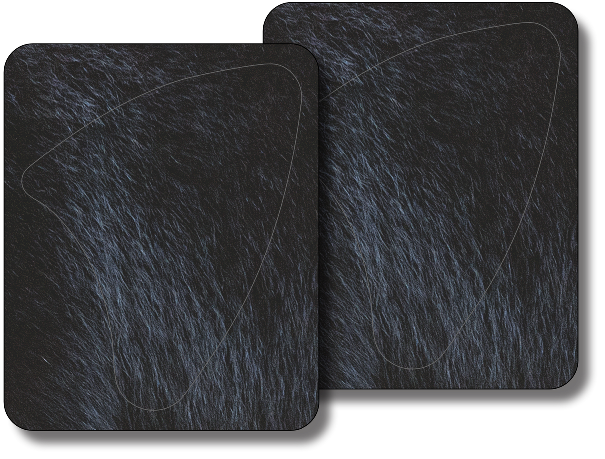 Black Bear Broadside Vital Zone