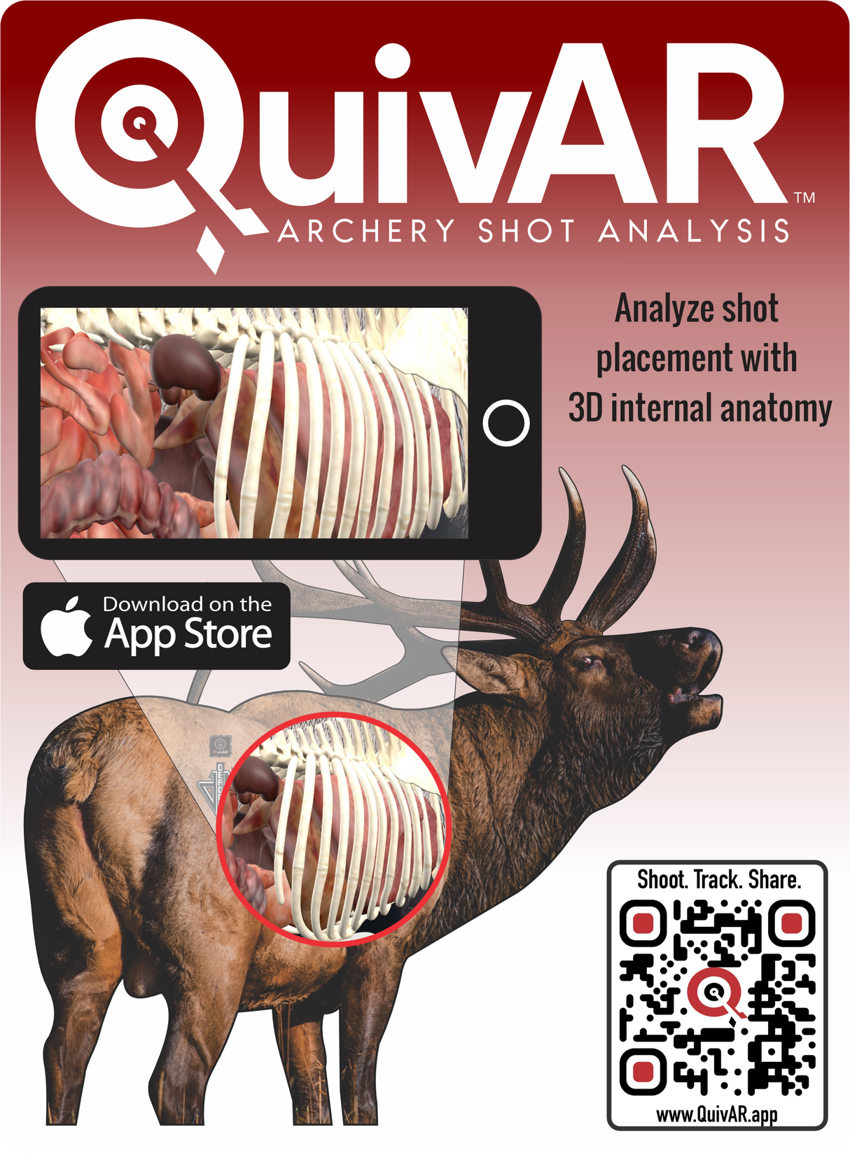 2D Bull Elk Quartering Away Target