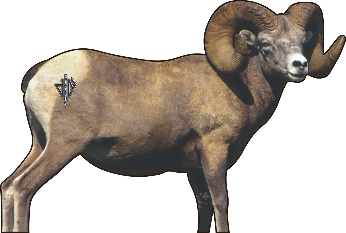 2D Bighorn Broadside Target