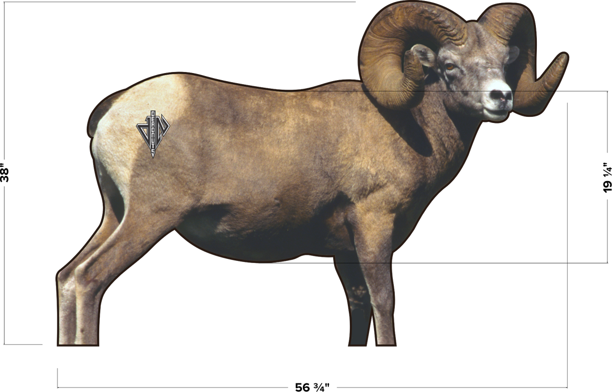 2D Bighorn Broadside Target