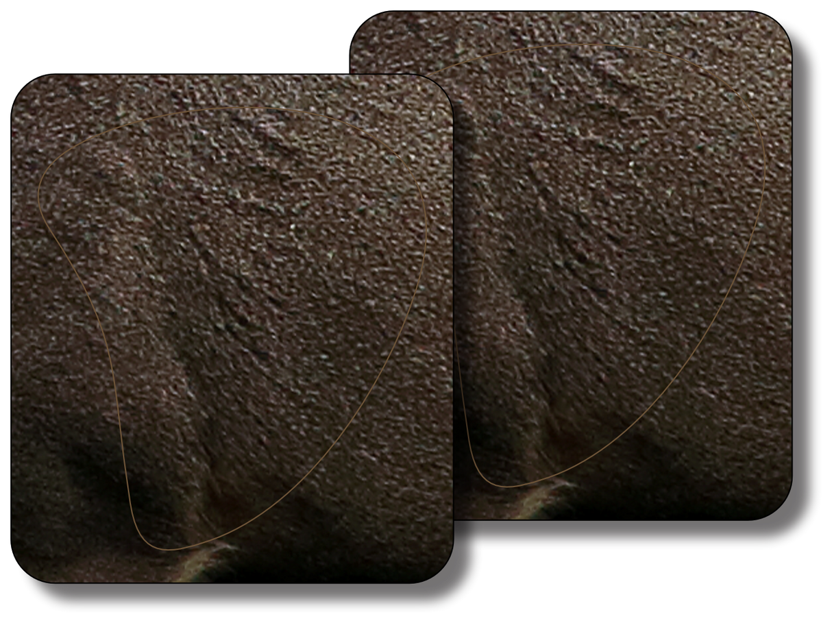 Mule Deer Broadside Vital Zone