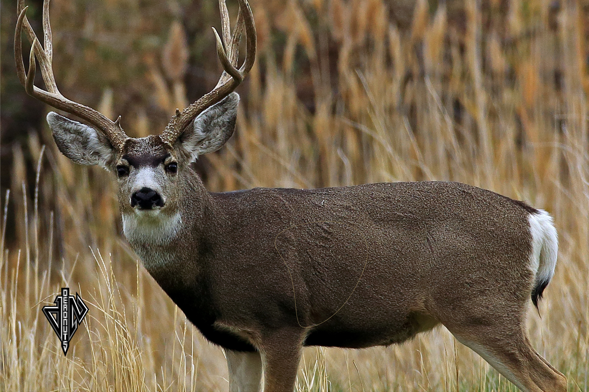 Mule Deer Broadside Mini Banner Target