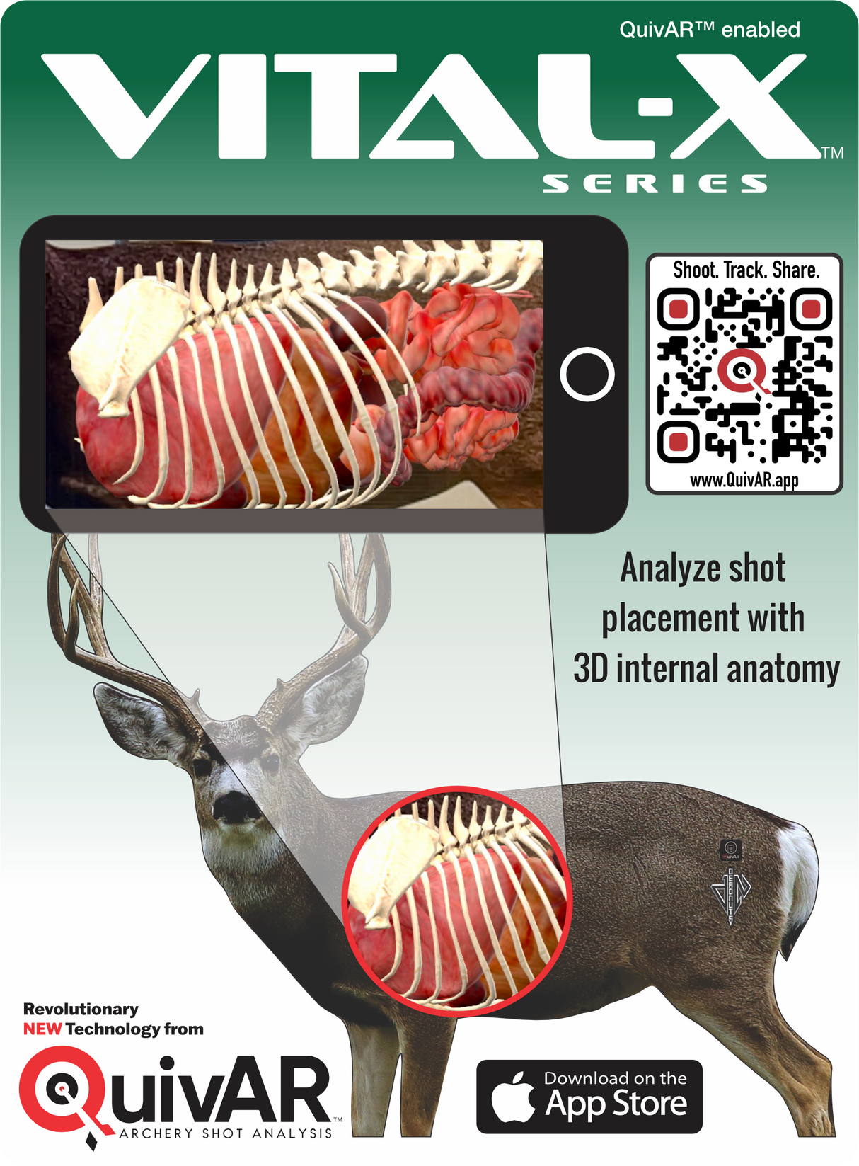 2D Mule Deer Broadside Target