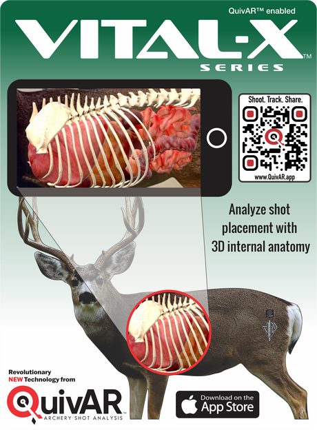 2D Mule Deer Broadside Target
