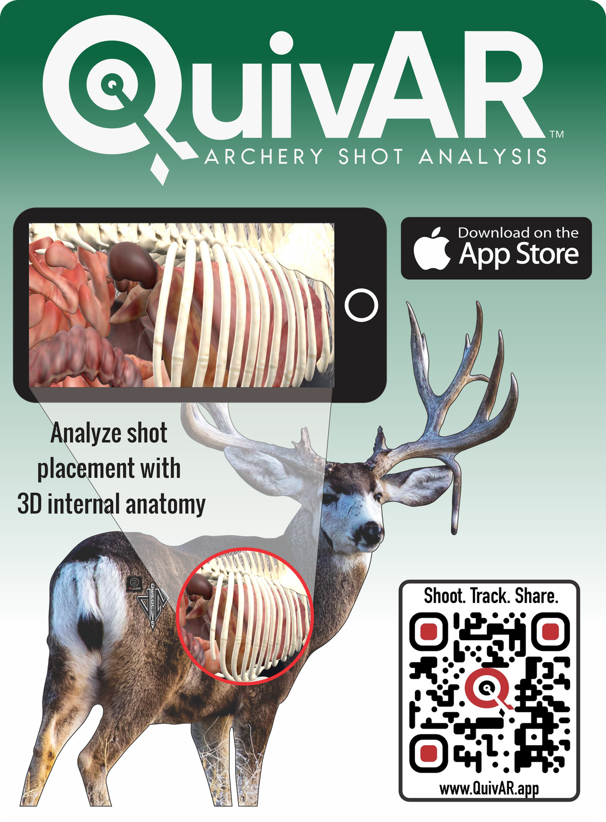2D Mule Deer Quartering Away Target