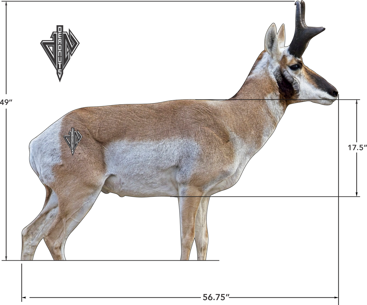 2D Broadside Pronghorn Buck