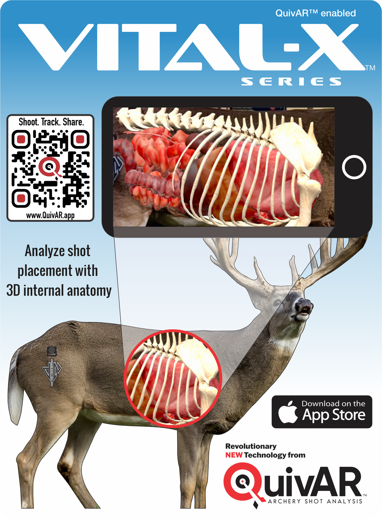 2D Whitetail Broadside Target