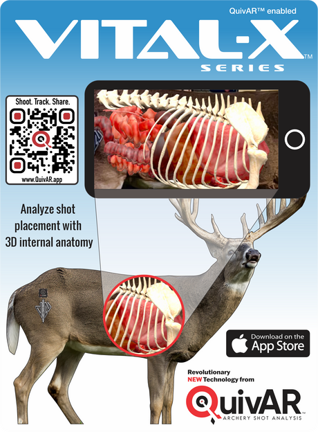 2D Whitetail Broadside Target