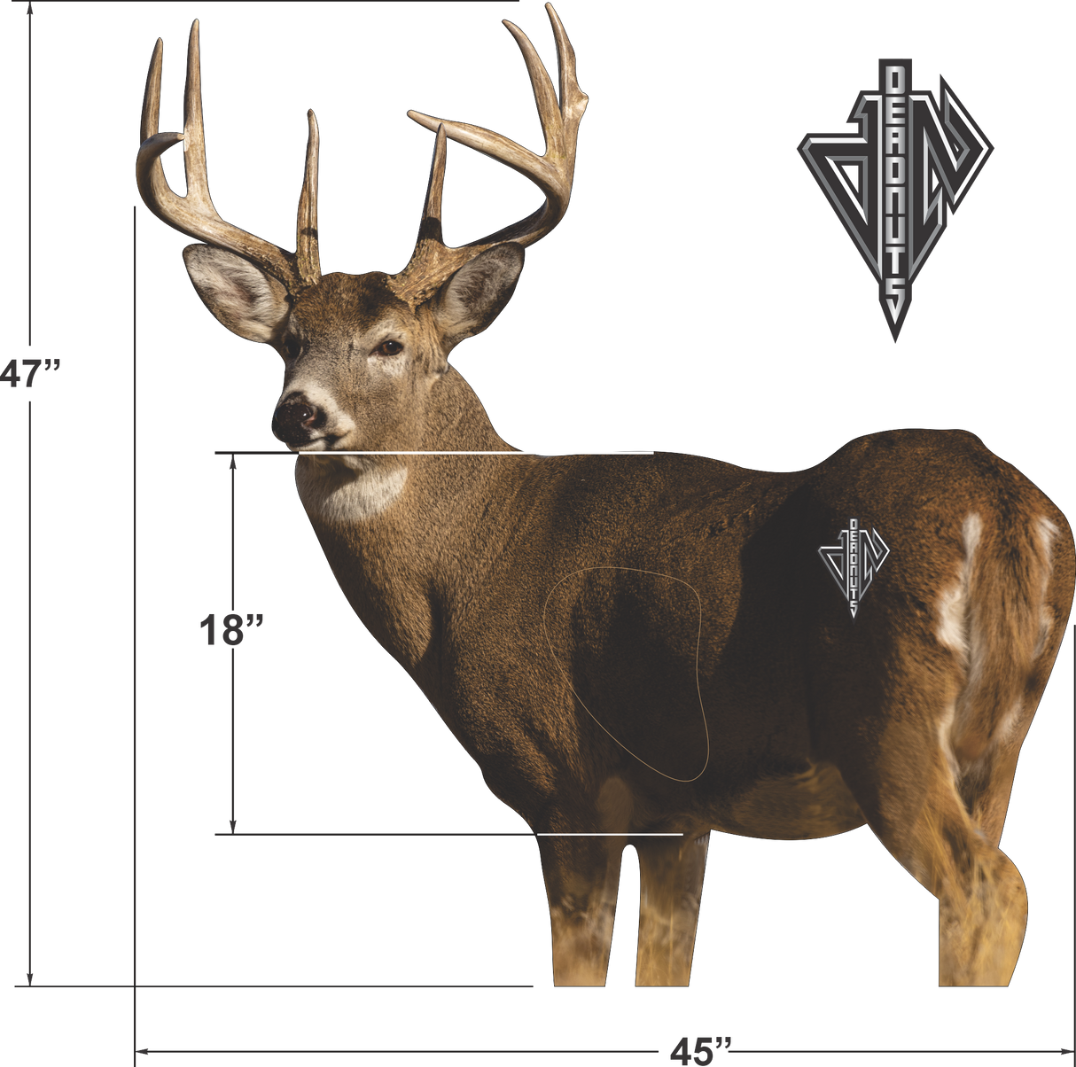 2D Whitetail "Willy" Quartering Away Target