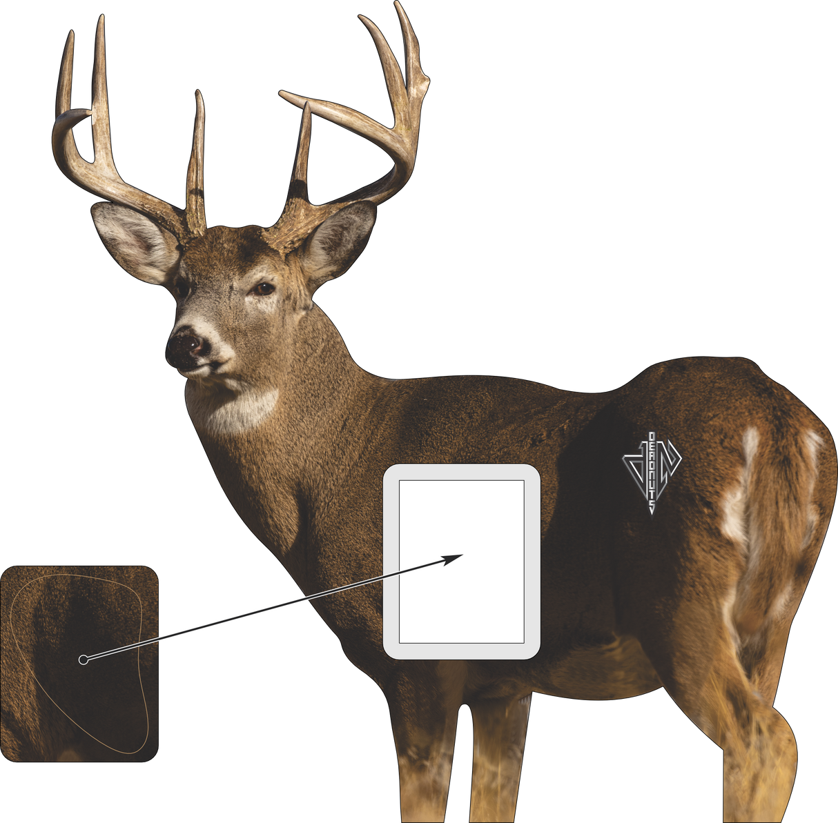 2D Whitetail "Willy" Quartering Away Target