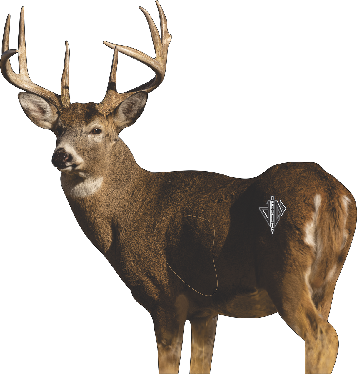 2D Whitetail "Willy" Quartering Away Target