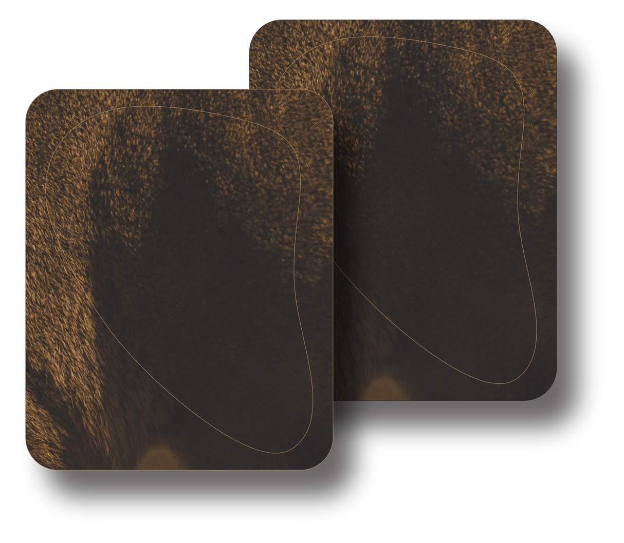 Whitetail "Willy" Quartering Away Vital Zones