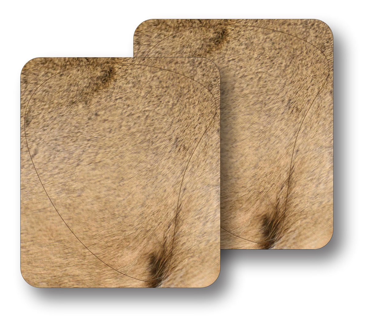 Whitetail "Willy" Broadside Vital Zones