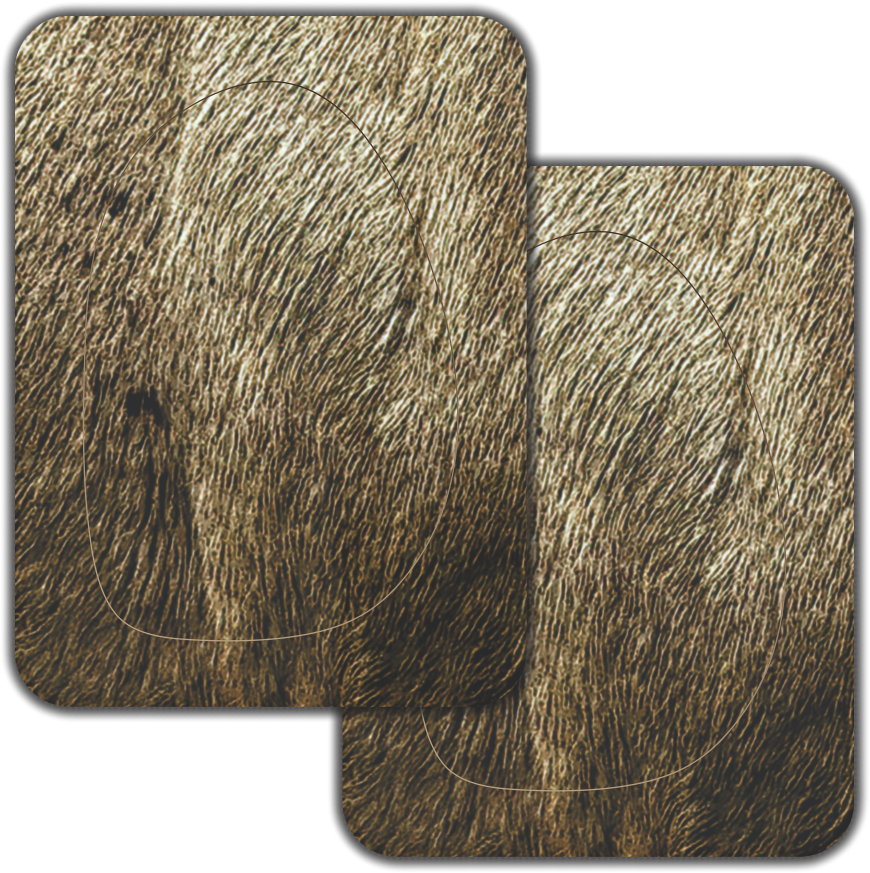 ElkShape Signature Series "Weneha" Quartering To Bull Elk Vital Zones