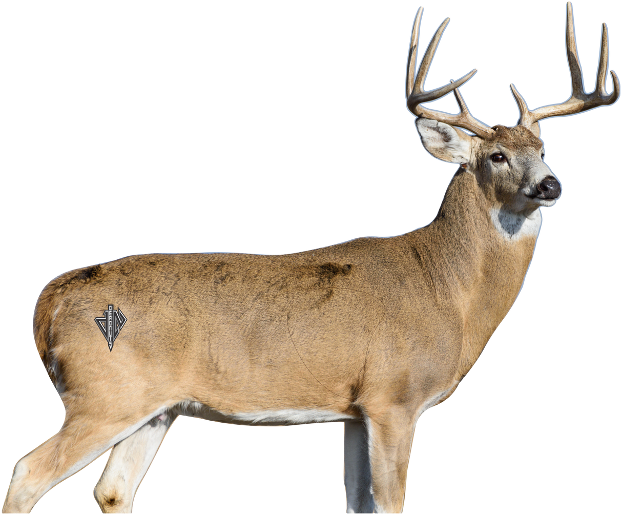 2D Whitetail "Willy" Broadside Target