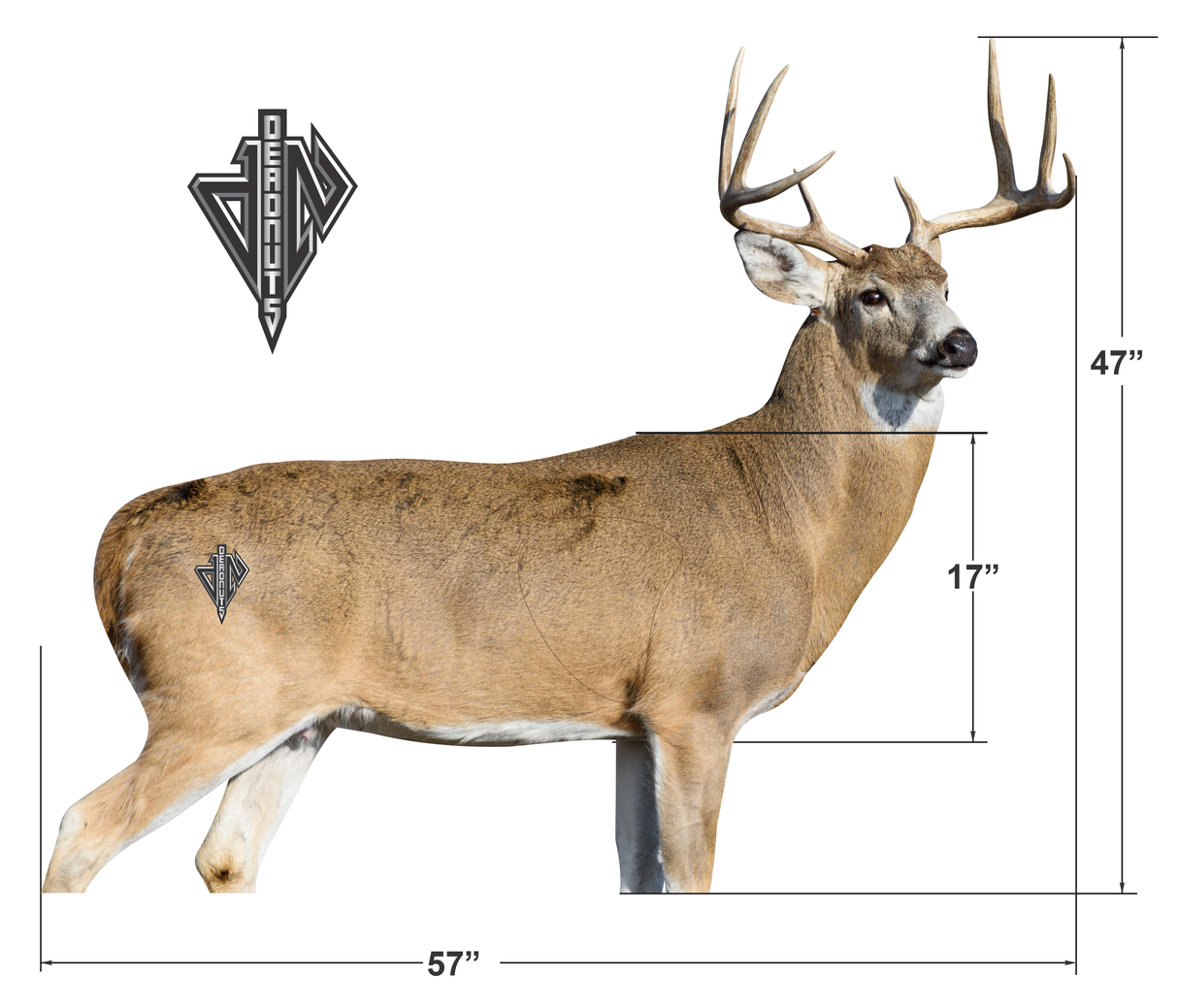 2D Whitetail "Willy" Broadside Target