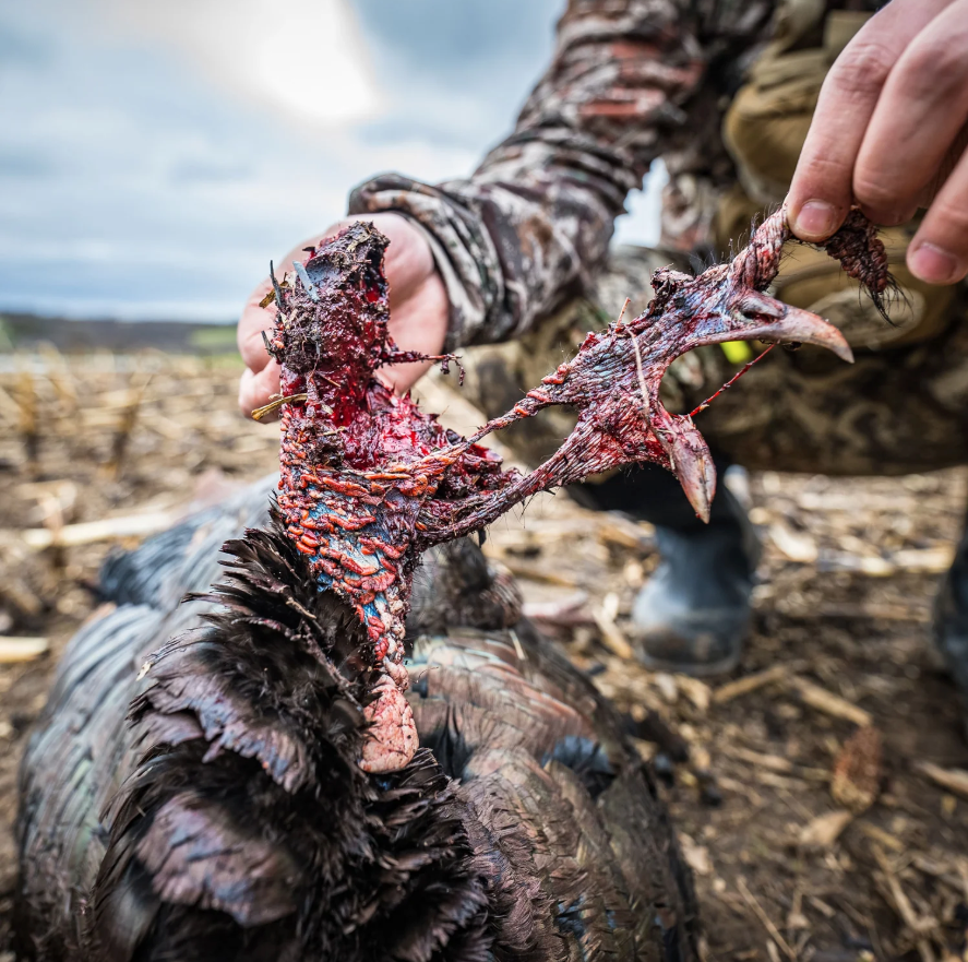 Beast Broadheads TURKEY DECAPPER SYSTEM