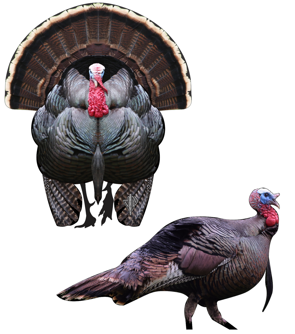 2D Tom Turkey Frontal & Broadside Targets Combo Pack