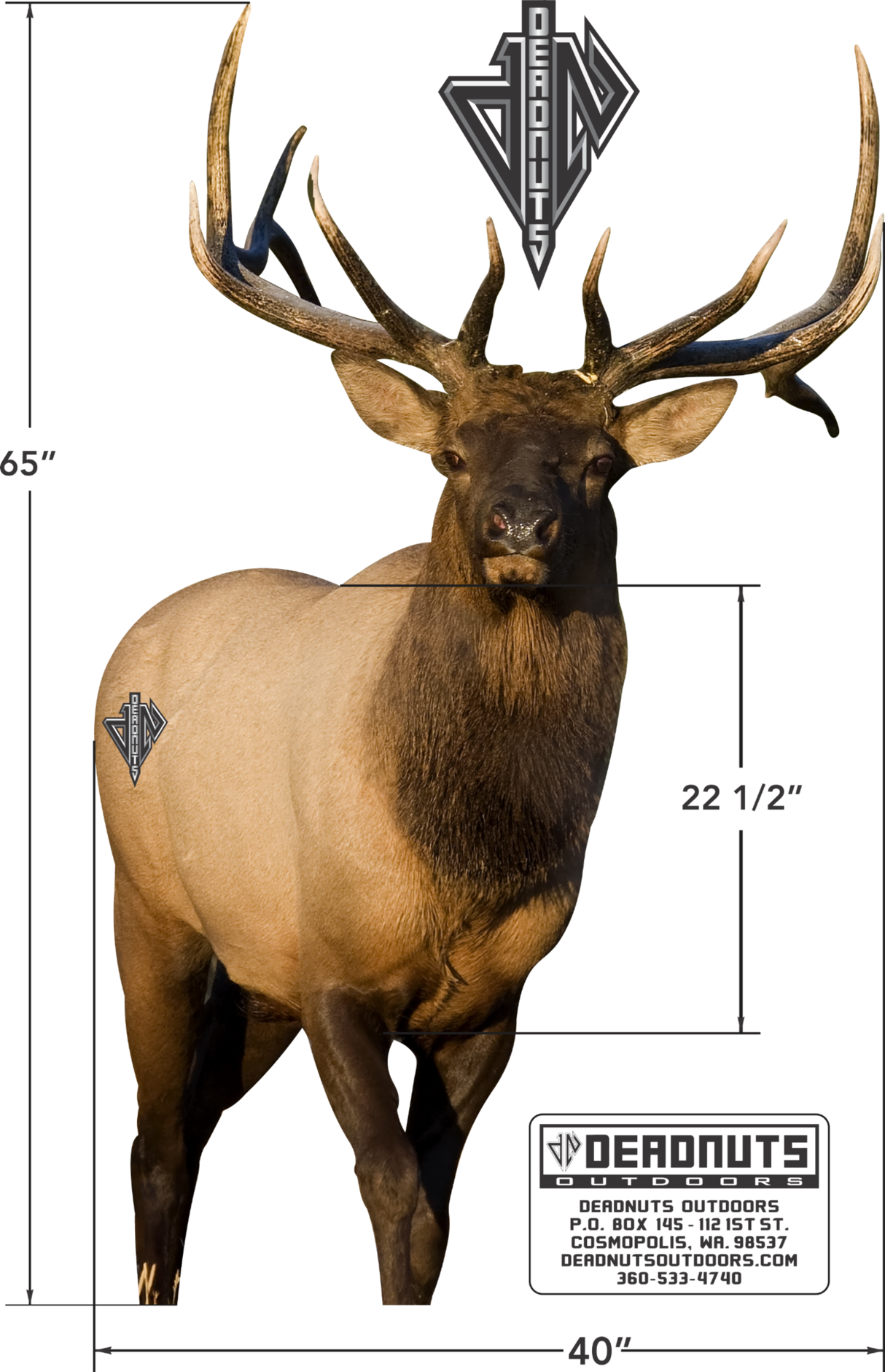 2D Bull Elk Frontal Target