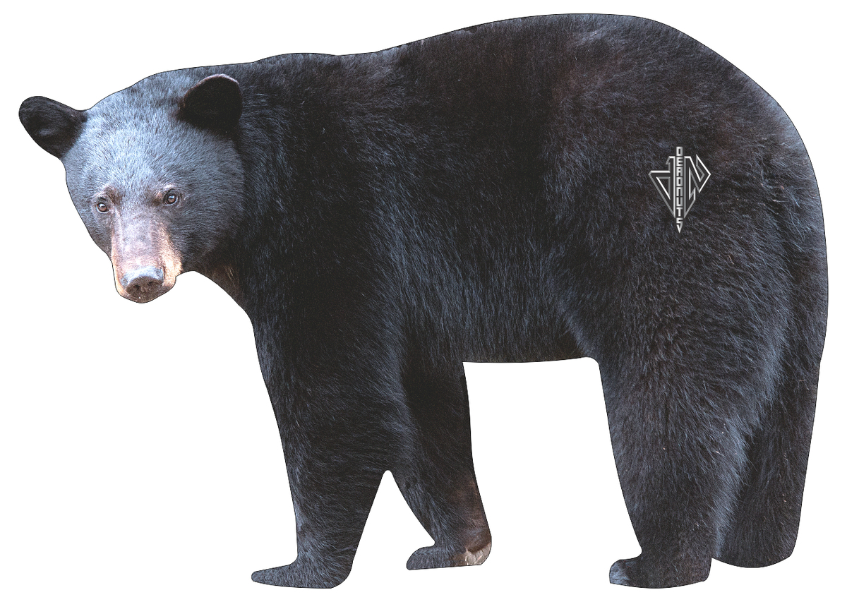2D Black Bear Broadside Target