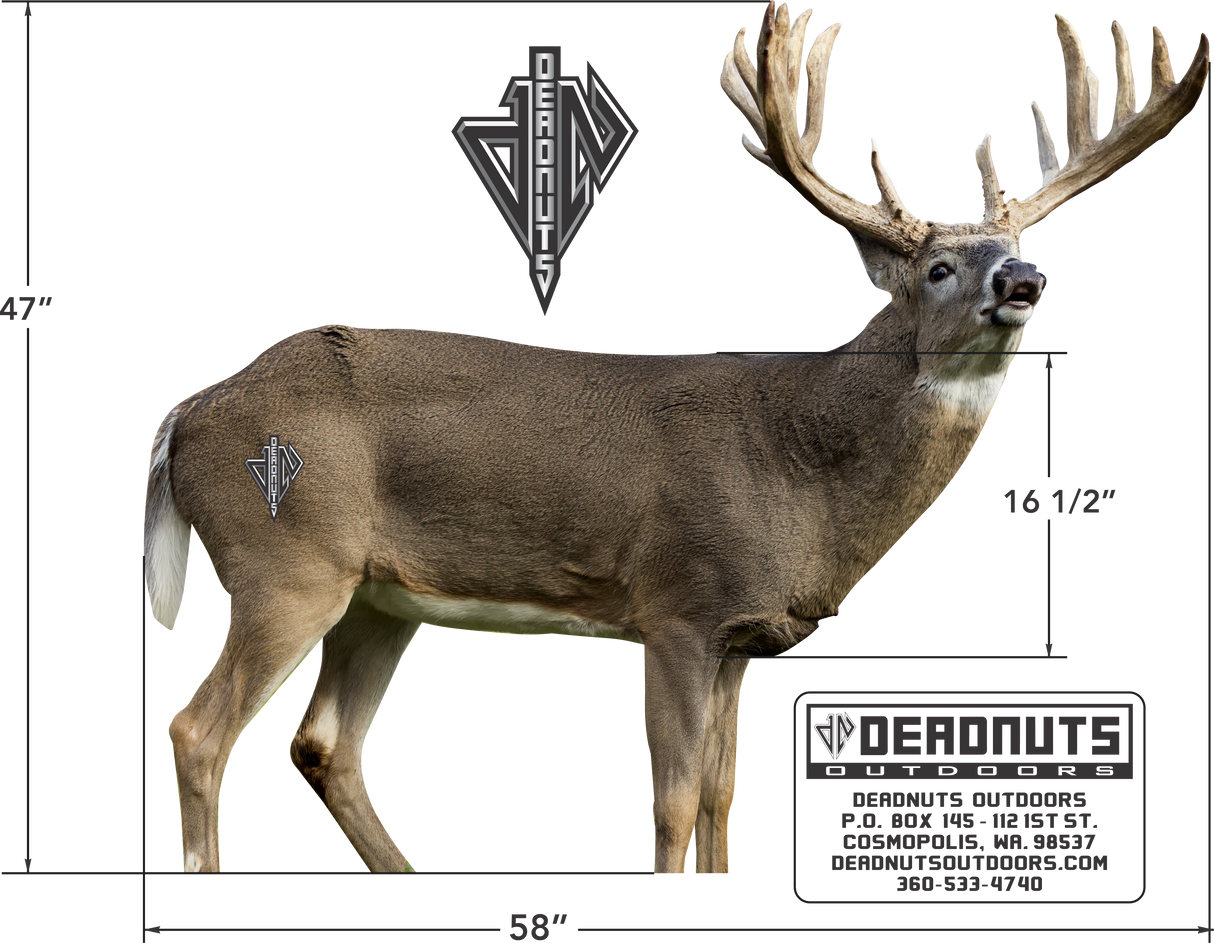 2D Whitetail Broadside Target
