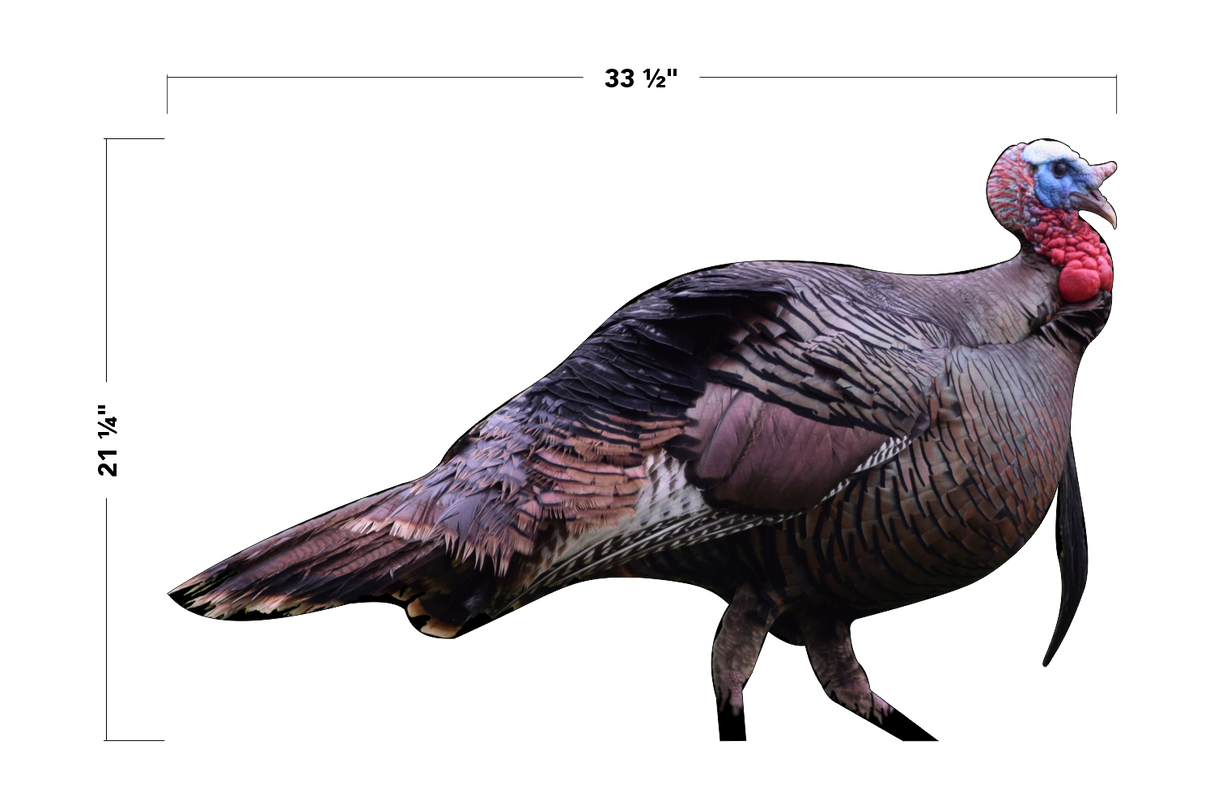 2D Tom Turkey Broadside Target