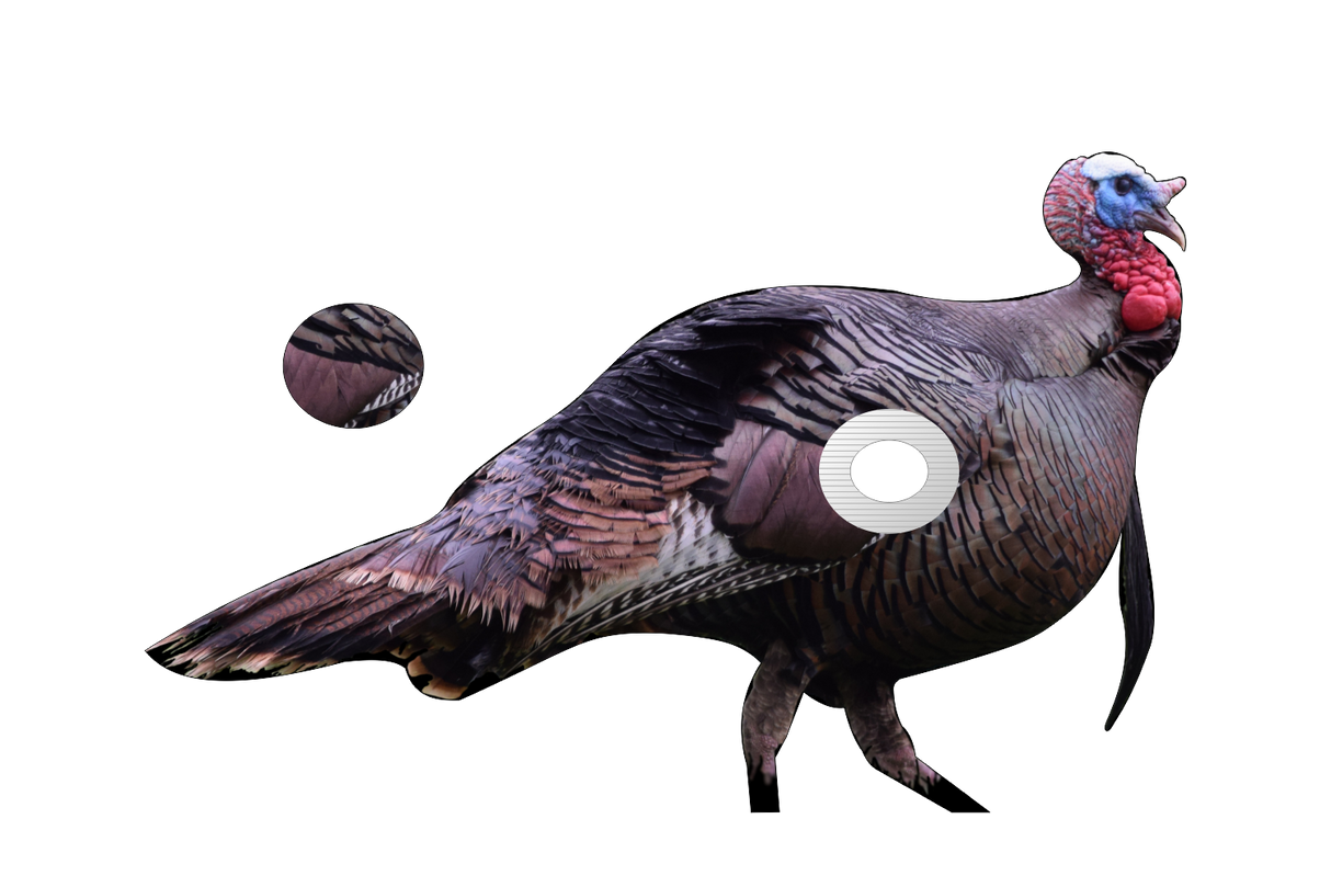 2D Tom Turkey Broadside Target