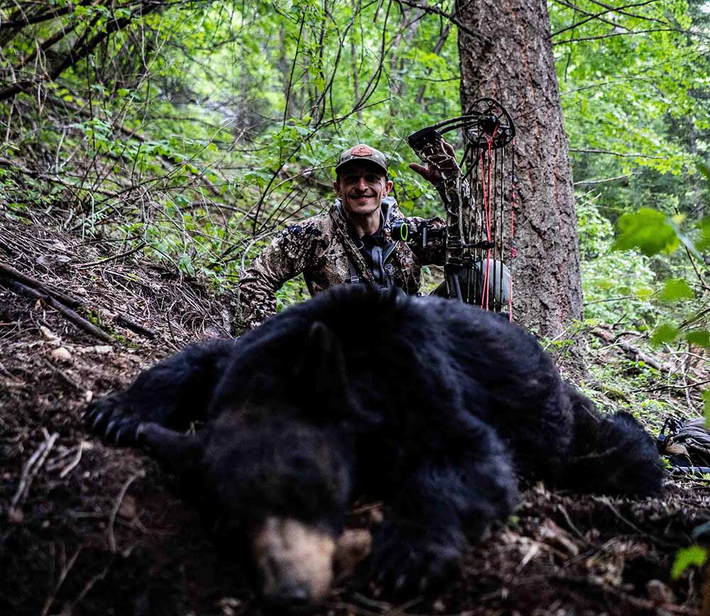 Spring Bear Hunting out West Unguided