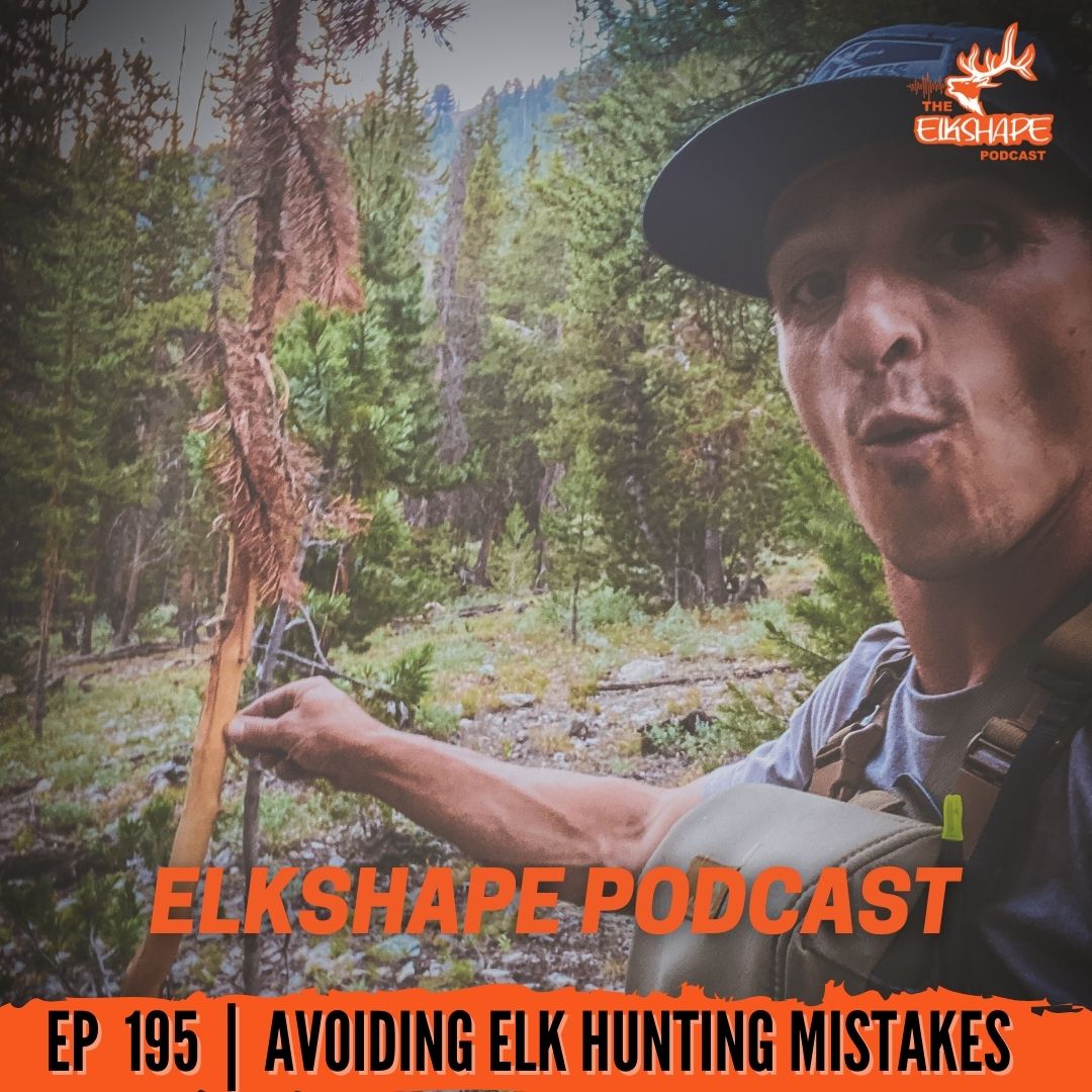 Some of the BIGGEST elk hunting mistakes made
