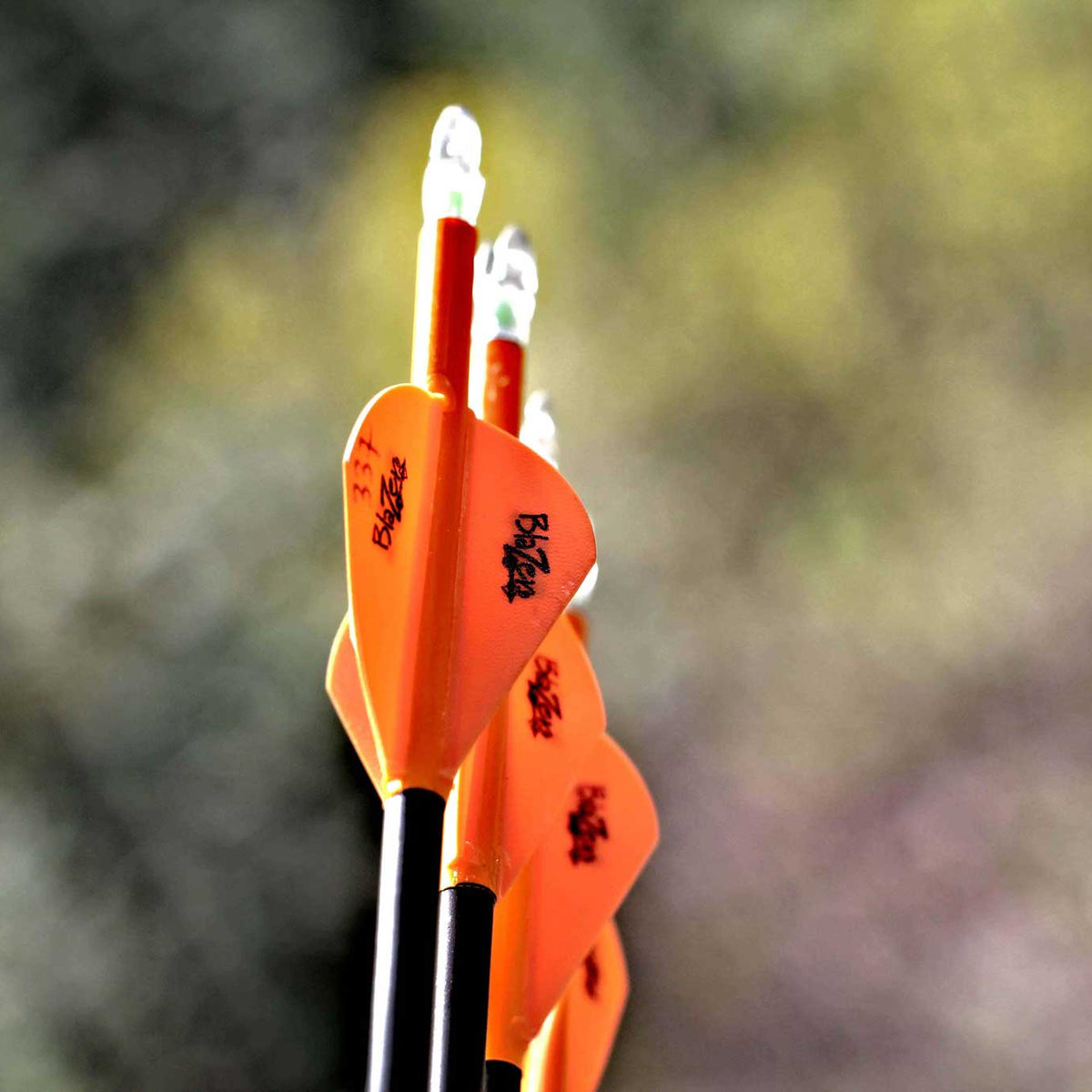 How to Scout for Mountain Bucks – ElkShape